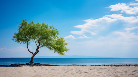 Beautiful sandy beach with blur sky and tree summer.の素材