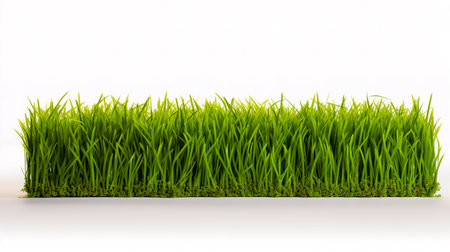 A piece of green lawn on a white background.の素材