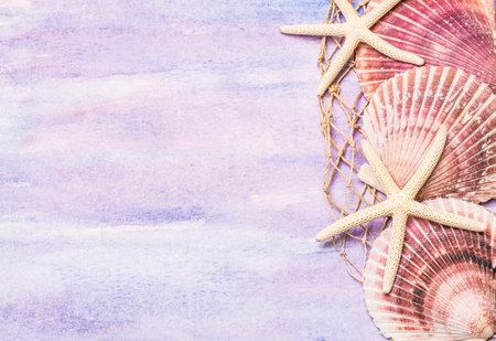 Seashells and starfish background with copy space.
