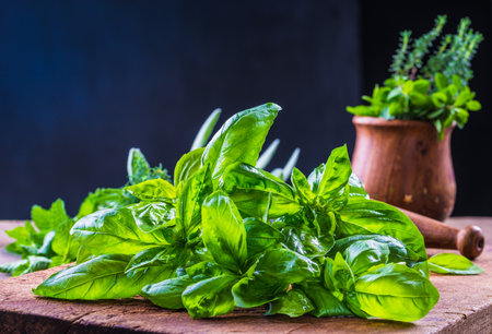 Fresh herbs, basil, thyme, oregano, mint, rosemary on rustic dark background.