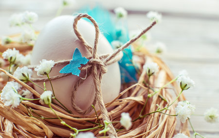 Easter egg in nest vintage easter card background, toned.の写真素材