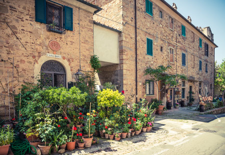 Bolgheri, village, Tuscany, Italy.Typical italian old village street, Bolgheri, Tuscany, Italy.