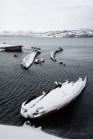 broken vessels on the coast of the Barents seaの写真素材