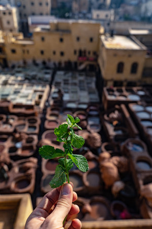 skin painting in the dye shops in the Arab cityの写真素材
