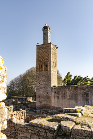 a mosque with a stork in North Africaの写真素材
