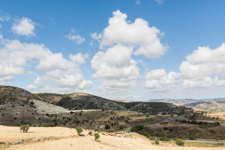 Country rural landscape in Troodos region of Cyprusの写真素材