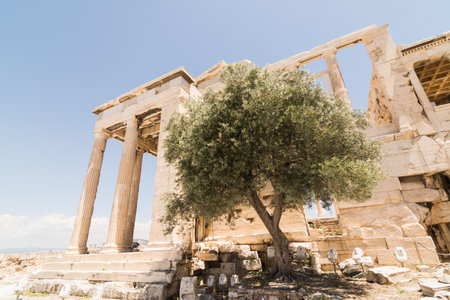 Ruins of Parthenon temple on the Acropolis, Athens, Greeceの写真素材