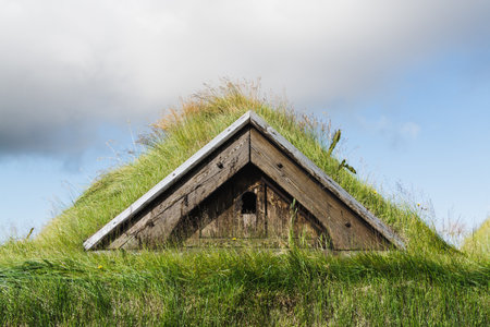 Grass covered roof of the Icelanding turf house.の写真素材