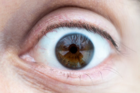 Close-up on male brown wide open eyeの写真素材