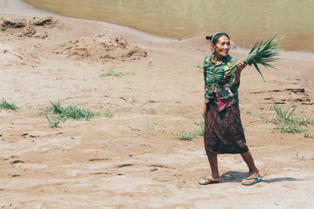 Luang Prabang, Laos - April 2019: Laotian woman carries cane and reed leaves on the riverfrontのeditorial素材
