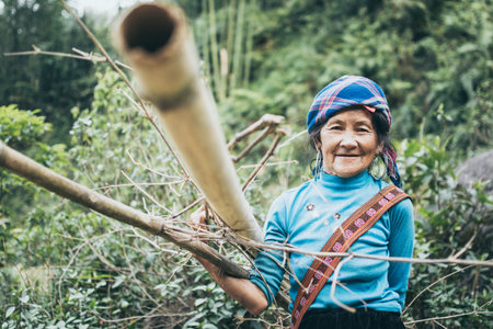 Sapa, Vietnam - May 2019: old woman from Hmong ethnic group in traditional dress carries woods in Lao Cai province.のeditorial素材