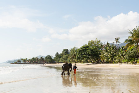 Koh Chang, Thailand - June 2019: Thai man walking an elephant on sandy Long Beach after bathing in the sea.のeditorial素材