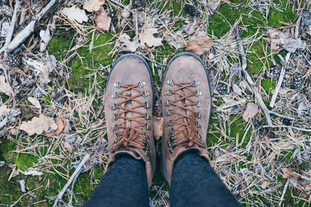 Female leather vintage boots standing on green moss forest backgroundの写真素材