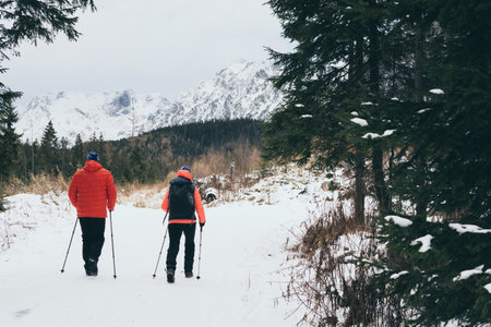 Couple trekking with walking poles in High Tatra mountains in snowy winter, Slovakiaの写真素材