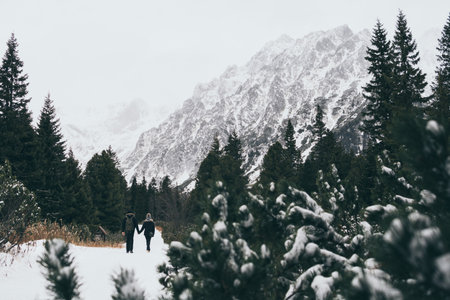 Small human figures walking towards High Tatra mountains through pine tree forest in winter, Slovakia.の写真素材