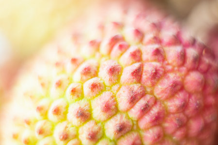 Close-up macro of lychee tropical fruit skin.