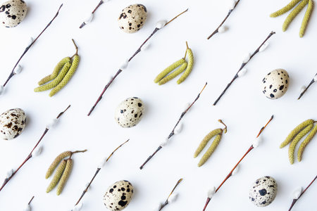 Flat lay with quail eggs, birch catkins and willow tree twigs on white backgroundの写真素材