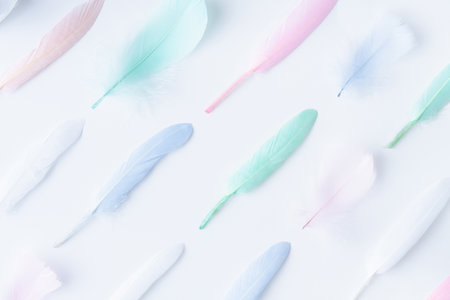 Flat lay of colorful feathers arranged in diagonal rows on white backgroundの写真素材