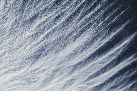 Closeup macro of white bird feather. Natural abstract texture forming monochromatic background.の写真素材