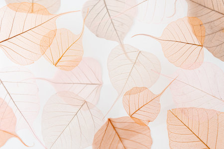 Background floral pattern of dry tree leaves. Levitation effect and pastel colors.の写真素材