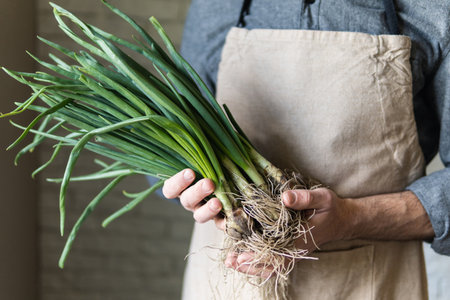 Young man in rustic apron holding a bunch of green onions. Healthy, vegetarian and organic farm food concept.の写真素材