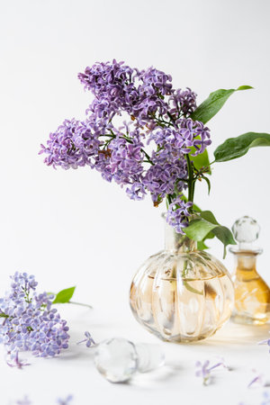 Purple lilac blossom standing in a small perfume bottle on white background. Spring flowers still life with copy space.の写真素材