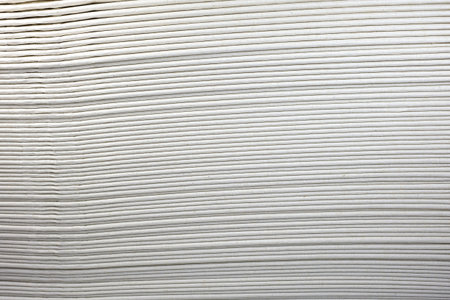 the fold of tissue to make the background