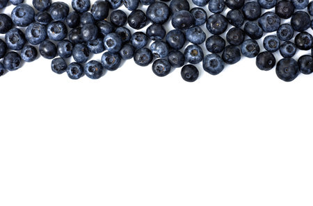 fresh blueberries top line a bit wave on the white background have a space to textの写真素材