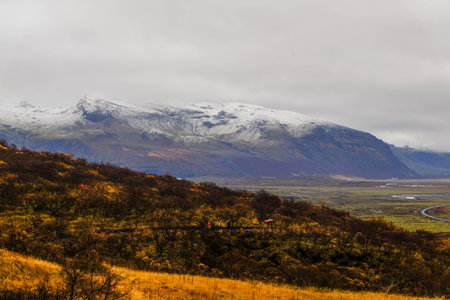 Snow mountain with yellow grass field landscape view and people walking upの写真素材
