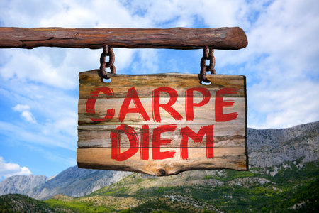 Carpe diem motivational phrase sign on old wood with blurred backgroundの写真素材