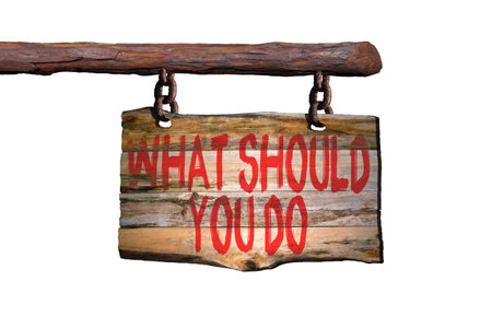 What should you do motivational phrase sign on old wood with white backgroundの写真素材