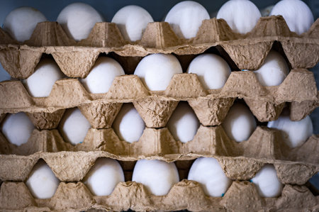 chicken eggs in cardboard trays close-upの写真素材