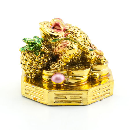 Golden turtle isolated on white backgroundの写真素材