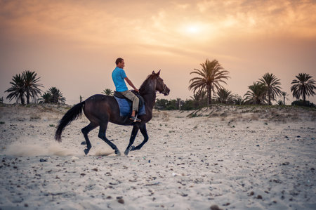 Horse riding on the beach at sunset