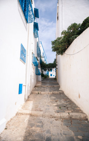 Old streets, Tunisの写真素材