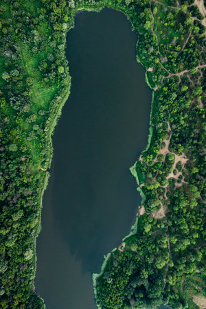 Bird's-eye view of a serene lake surrounded by lush greenery.の写真素材