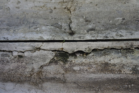 cracked and mossy wall textureの写真素材