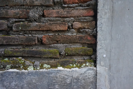 mossy brick wall