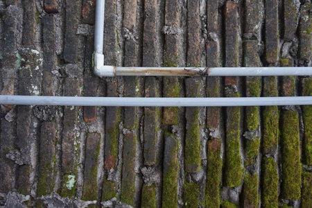 mossy brick wallの写真素材