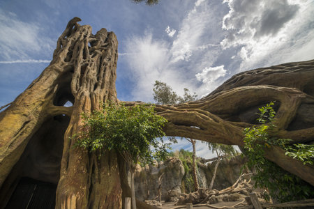 Exotic landscape in the nature park   Valencia, Spain の写真素材