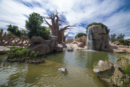 Exotic landscape in the nature park   Valencia, Spain の写真素材