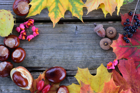 An autumnal frame of colorful leaves, fruits and chestnuts with wooden space photographed in the middle from aboveの写真素材