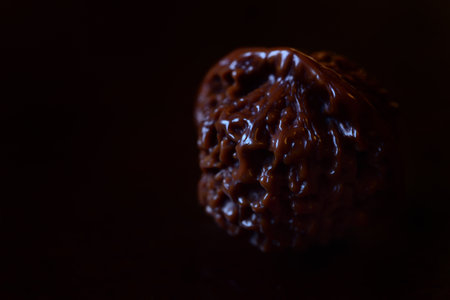 Close up and low key shot of a polished and varnished walnut against a dark background with text boxの写真素材