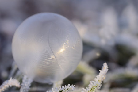 A frozen soap bubble on frozen grass with ice crystals against a light background with space for textの写真素材