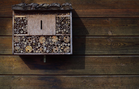 Brown background of a box for wild insects on a brown wooden wallの写真素材