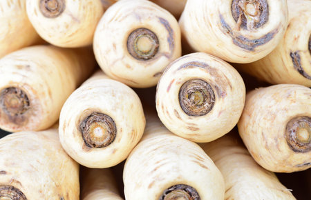 Background and close up of white parsley root, in the market, photographed from aboveの写真素材