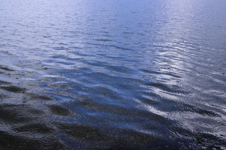 Raindrops fall on the dark lake and form small circles on the waterの写真素材