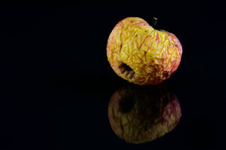 A small wrinkled old apple lies in front of a dark background and is reflected in itの写真素材