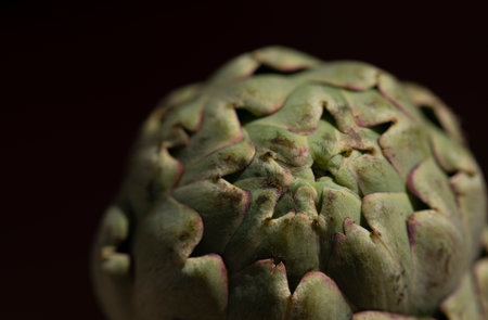 Close-up of an artichoke, against a dark backgroundの写真素材