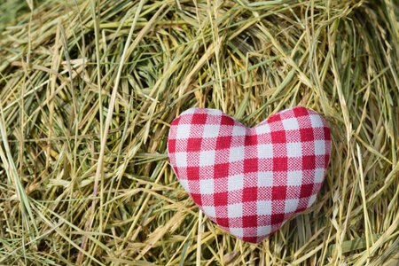On a background of hay lies a small heart made of checked red and white fabric for a rural idyll